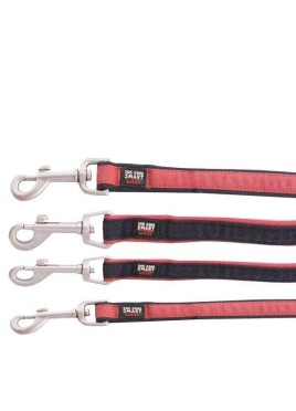 Dog Gone Smart Dog Lease Red with Navy Oiping 1 and 4 ft Long